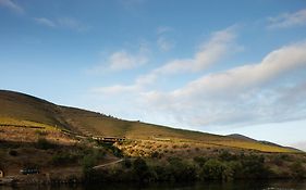 Casa Do Rio - Douro Wine Hotel By Vallado